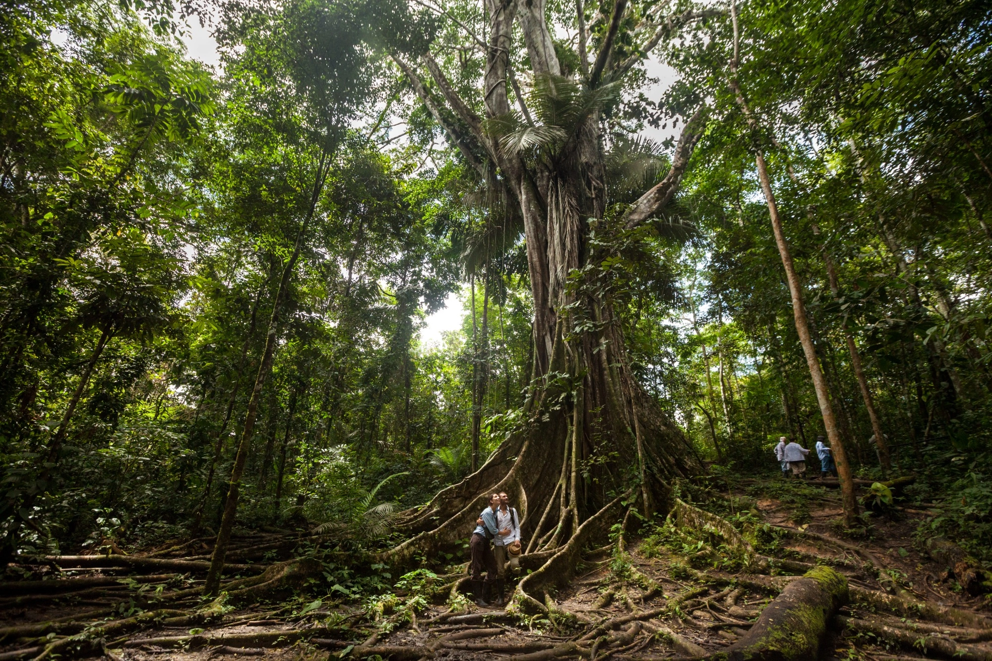 caminata por la selva en el Amazonas peruano