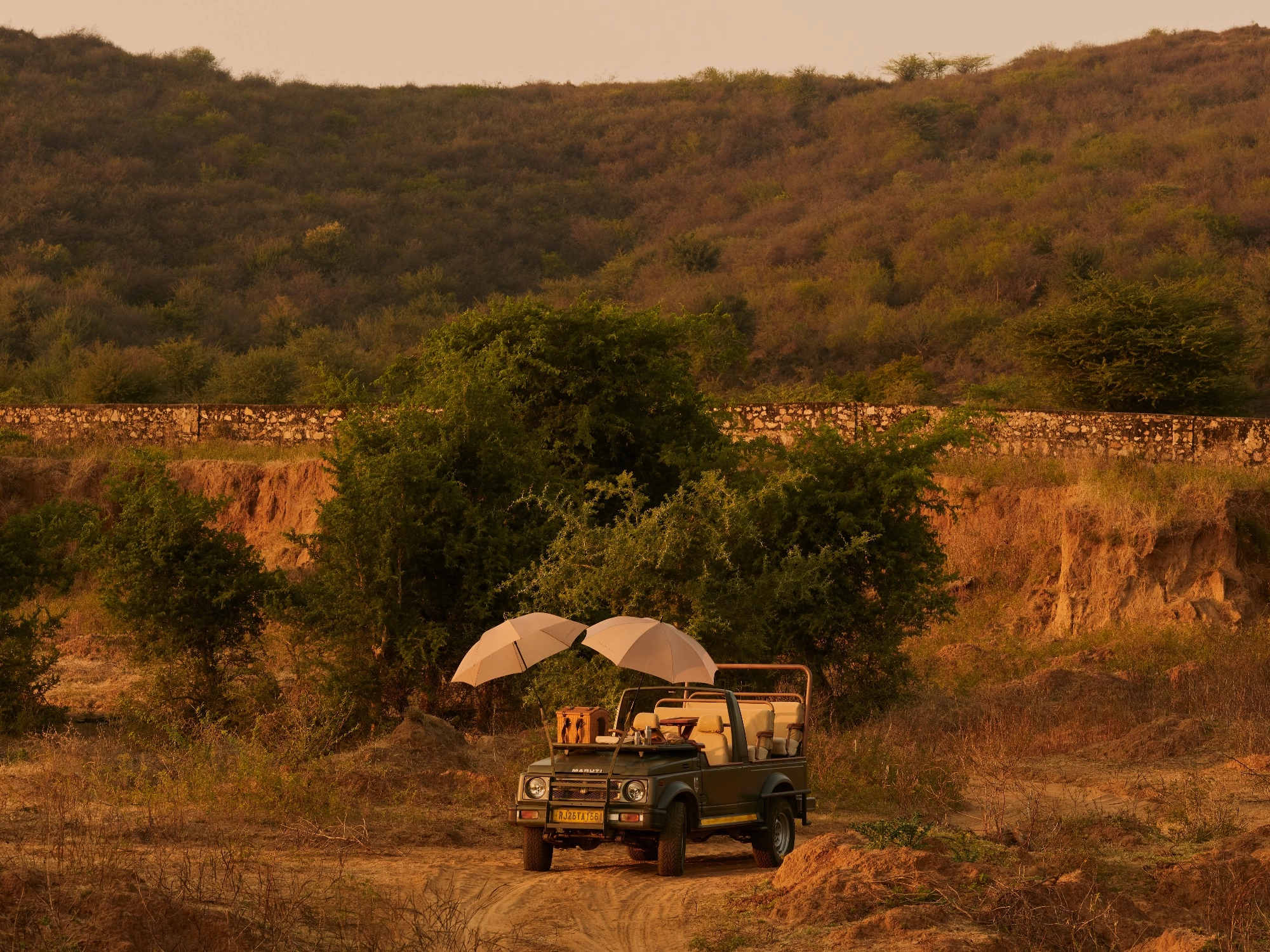 safari rathambore india aman-i-khas