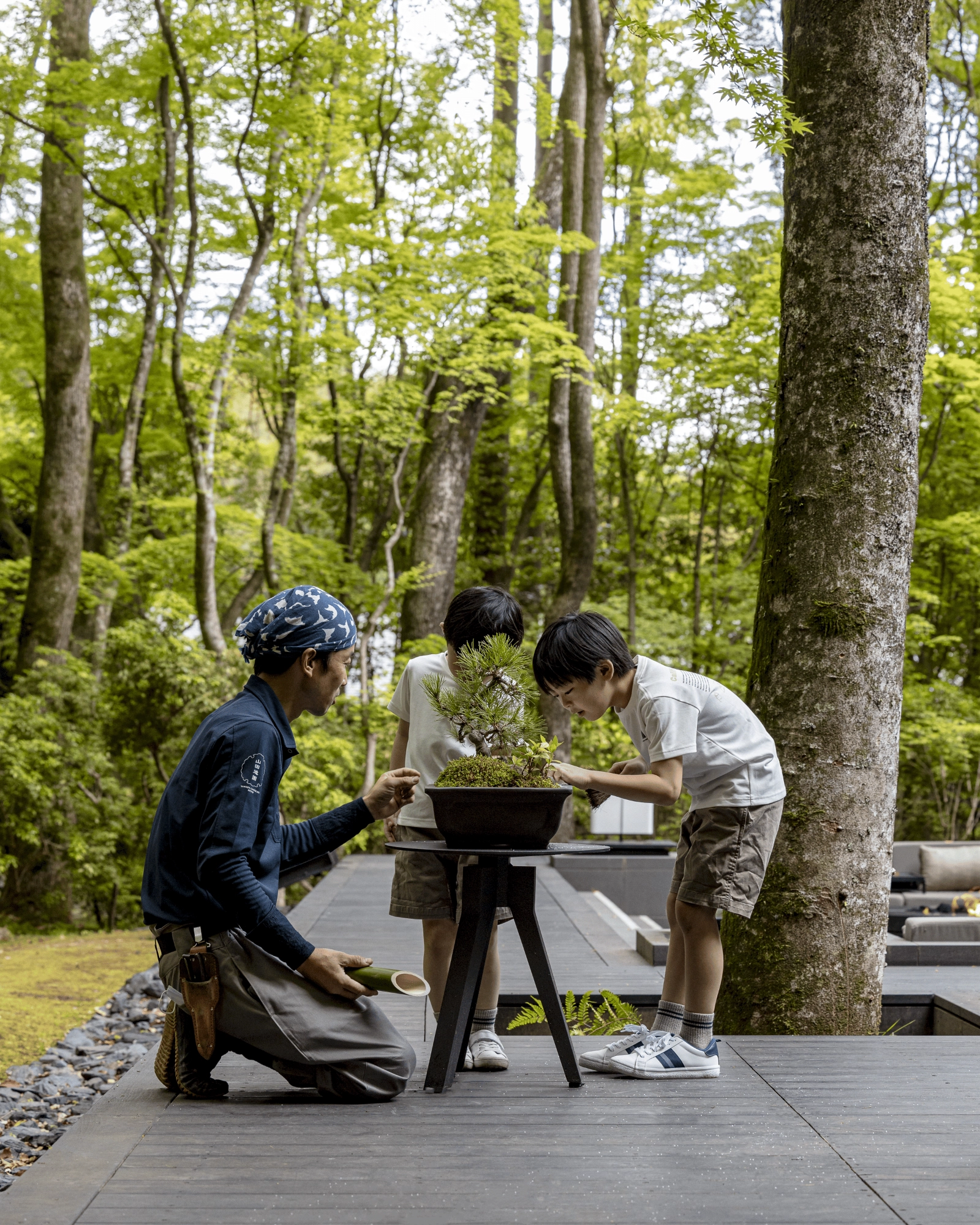 clase privada bonsai con niños Japón