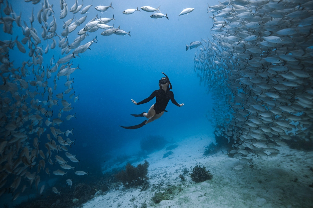 buceo en raja ampat