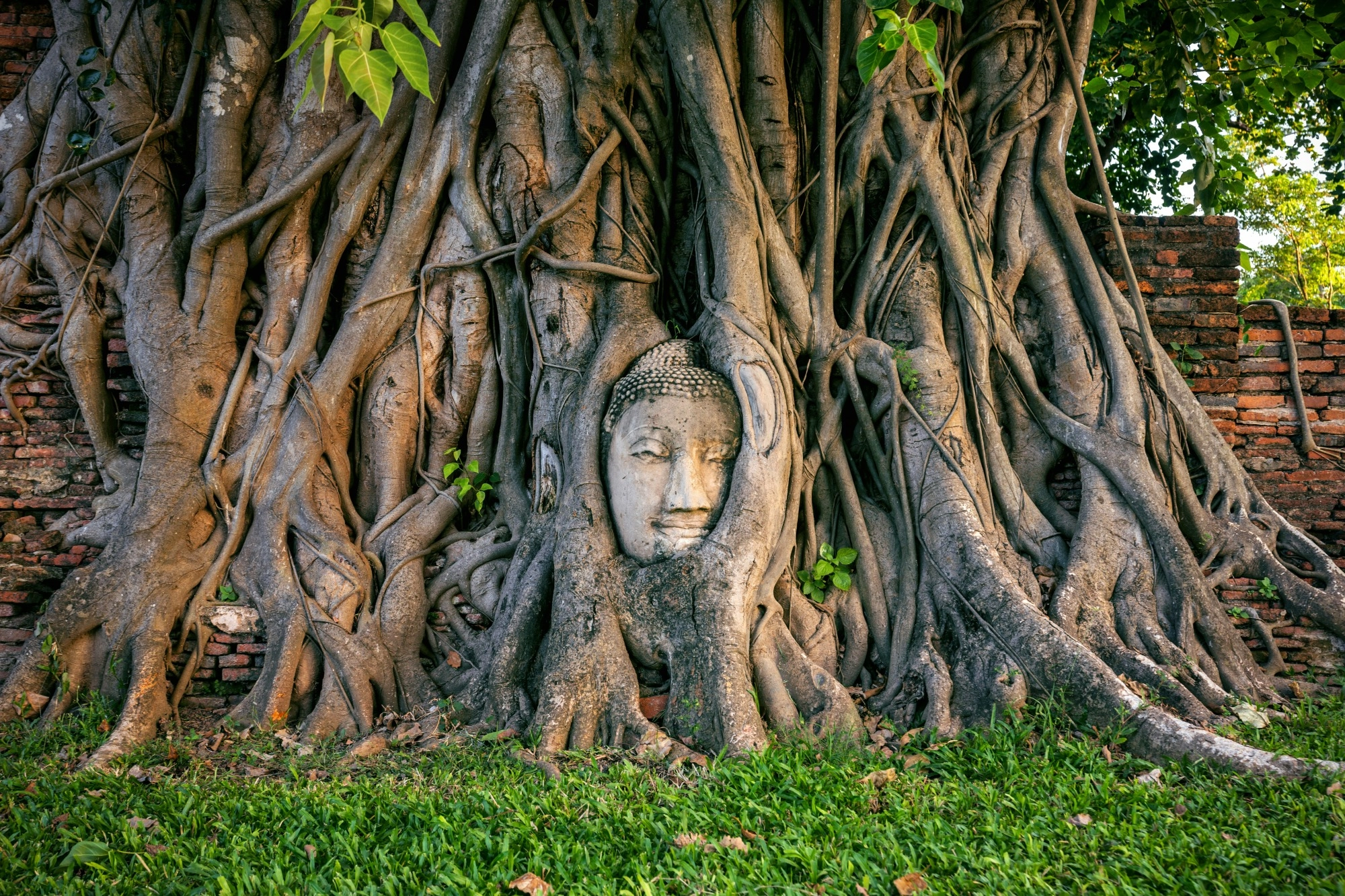 Ayutthaya Tailandia