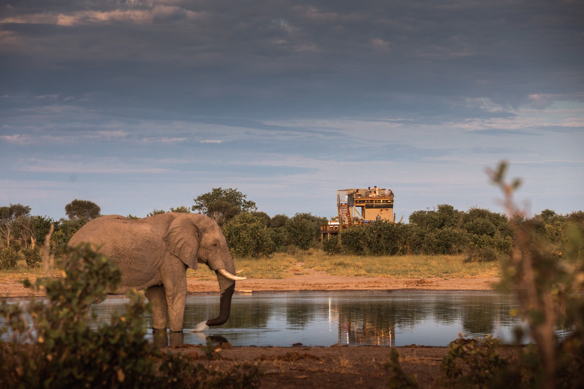 skybeds elefante botsuana