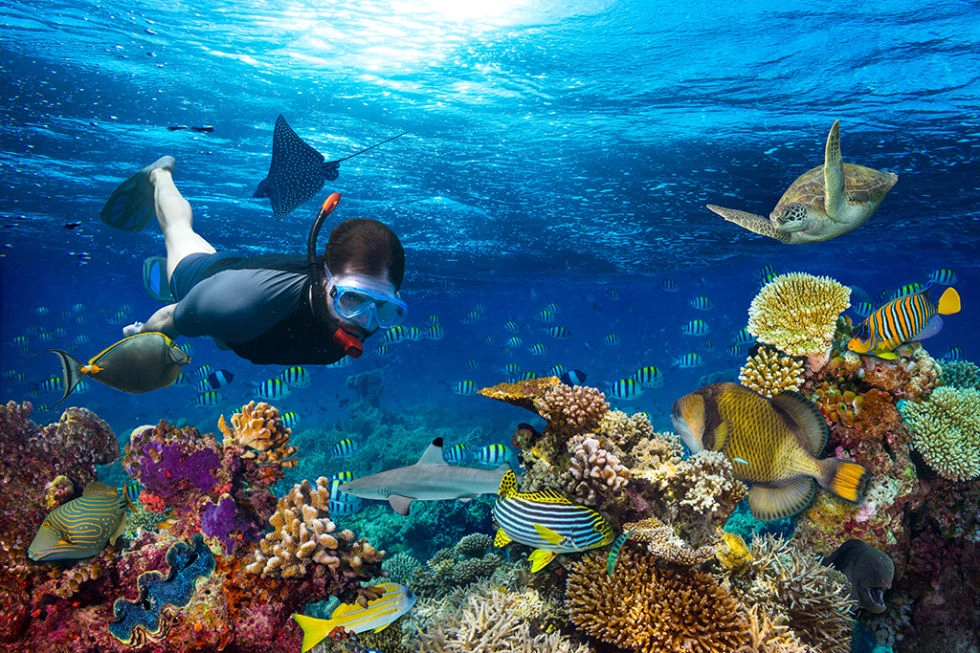 snorkel maldivas