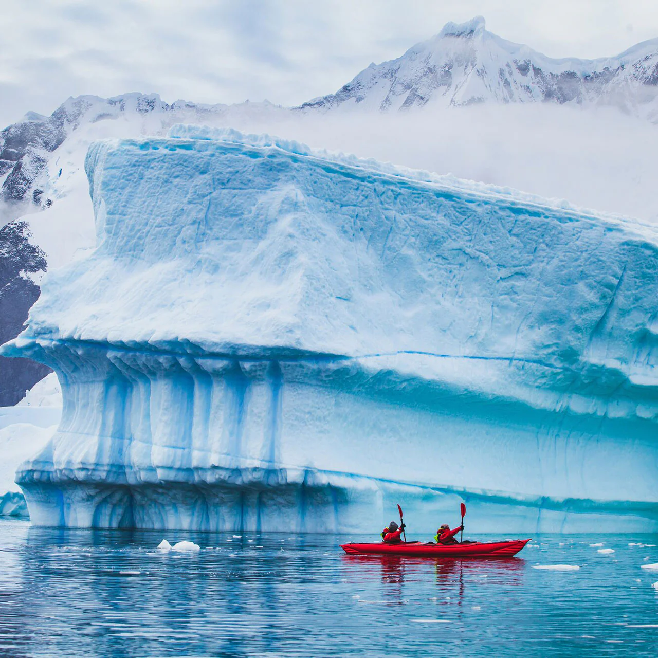 Kayaks entre icebergs en Groenlandia