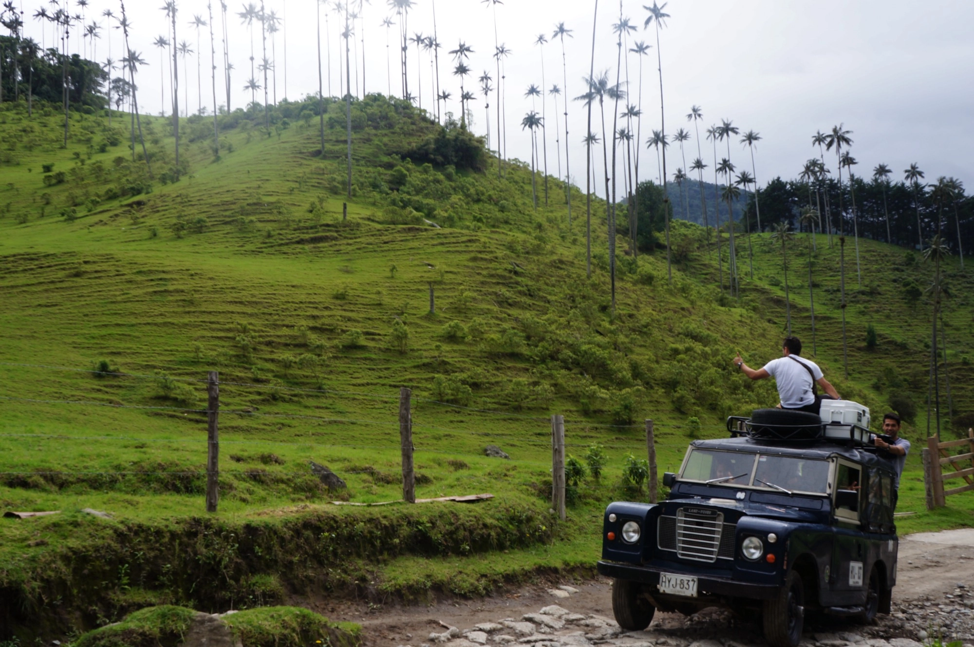 jeep hacienda bambusa salento cocora colombia