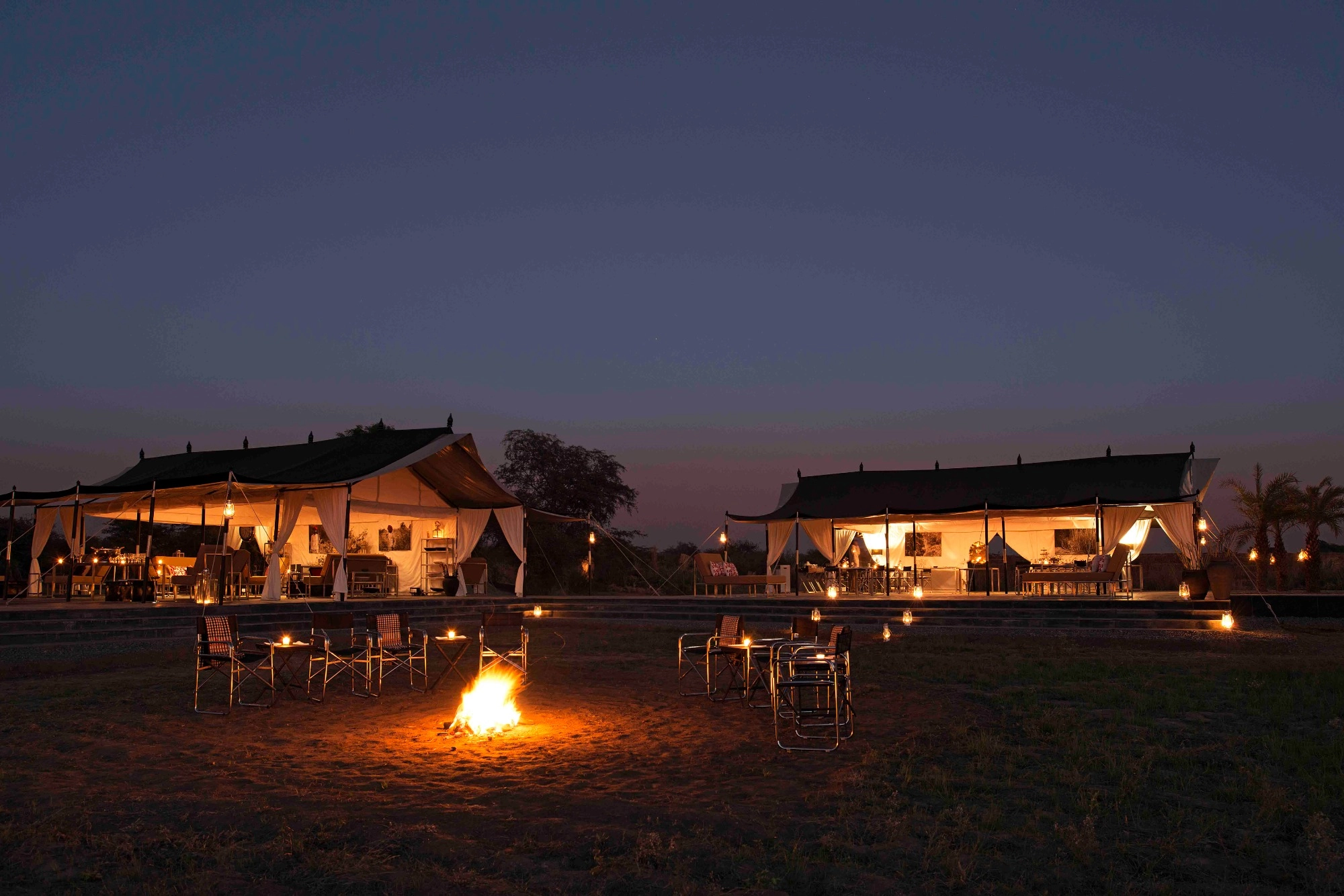 sujan jawai india safari