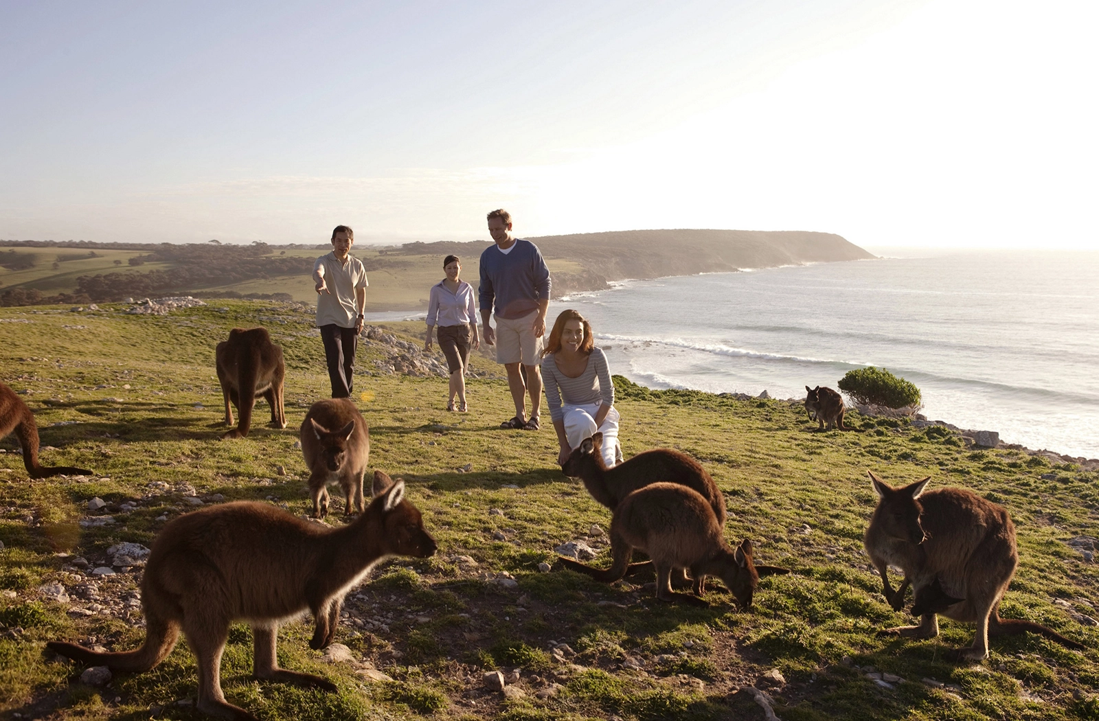 canguros australia viaje en familia a medida