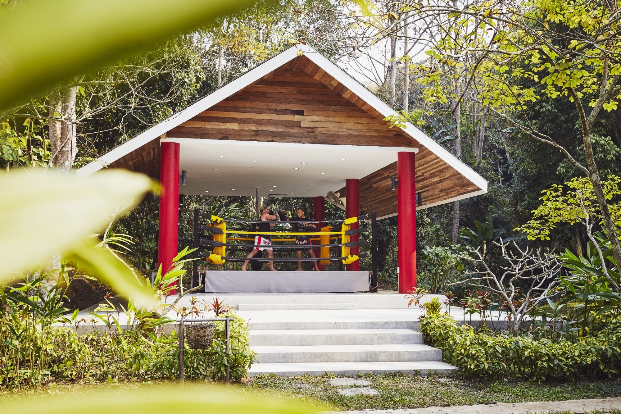 clase privada de muay thai en tailandia