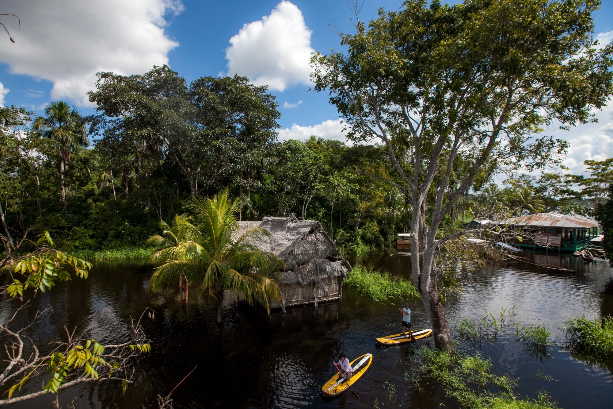 paddle surf en el amazonas