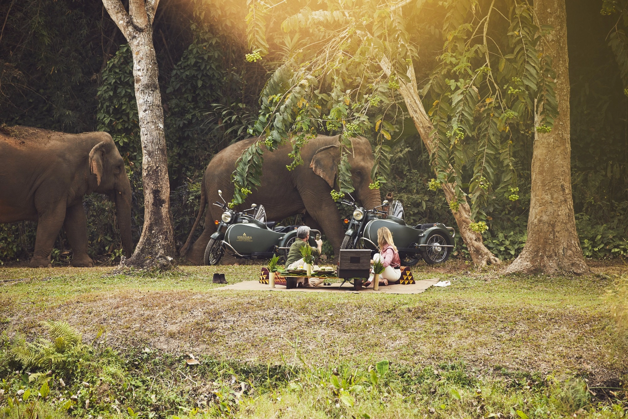 picnic en la selva de Tailandia con elefantes