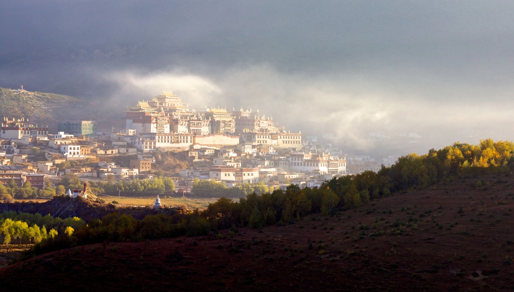 sangri-la ruta del te china