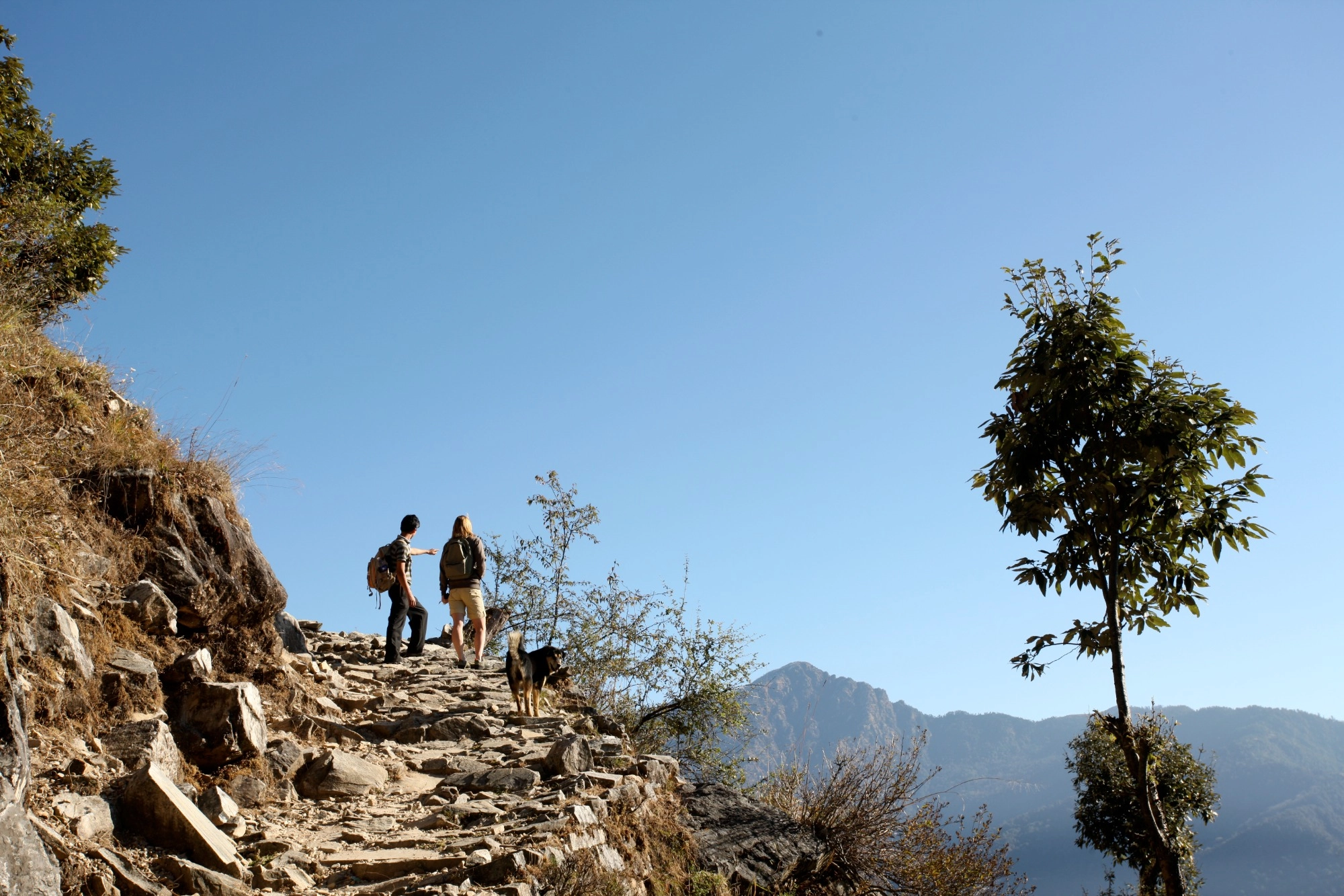 trekking por los himalayas indios
