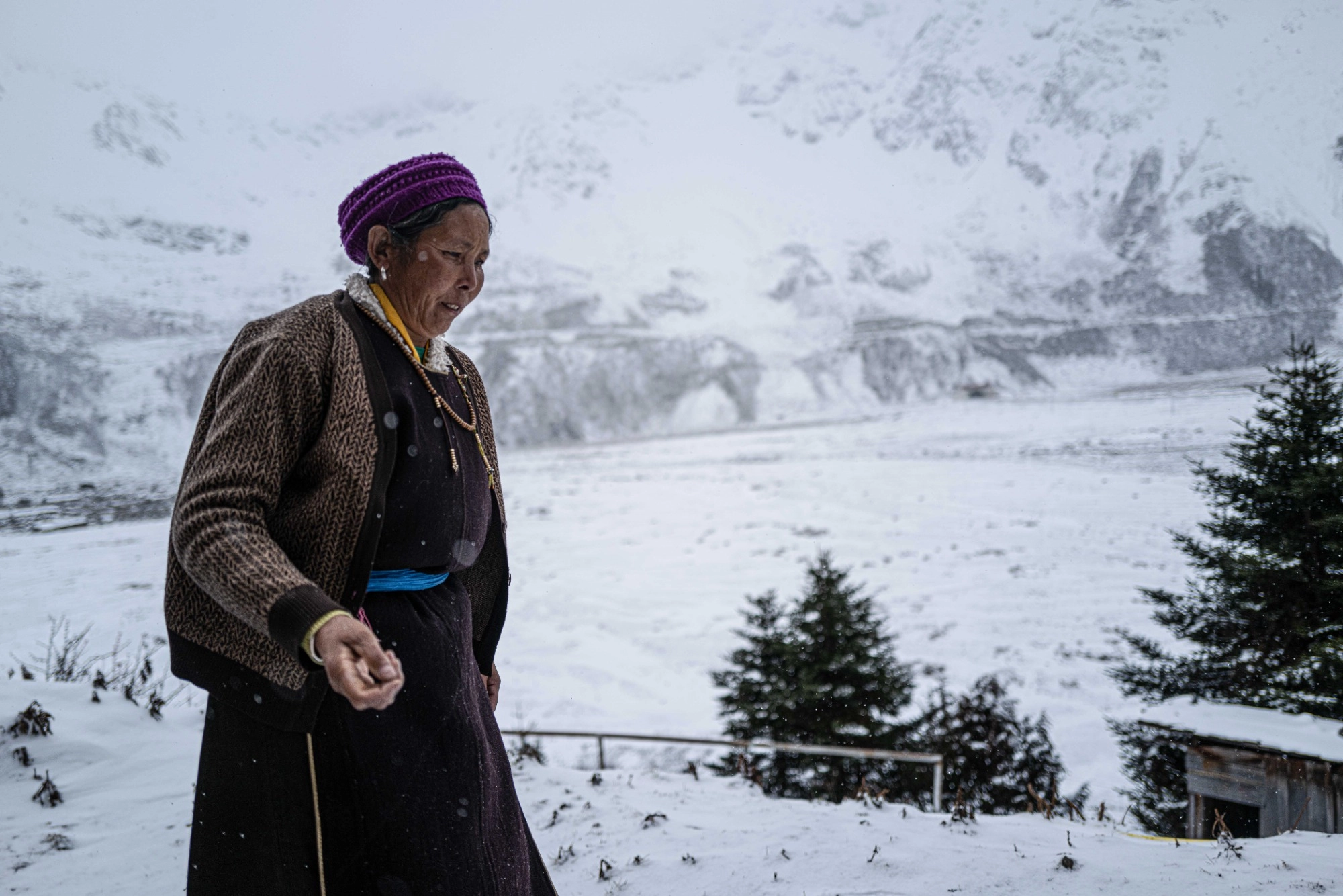 zona Bome ruta del te china